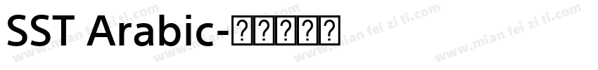 SST Arabic字体转换